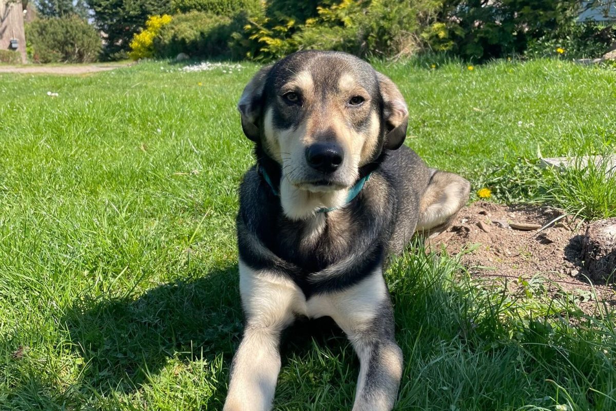 059762c1-6dff-4581-b3ca-25487fb09f83