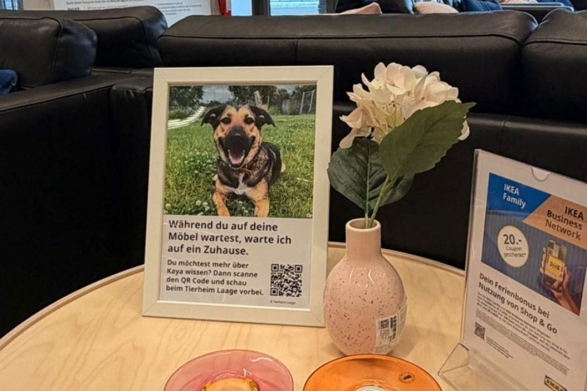 Kaya im Wartebereich