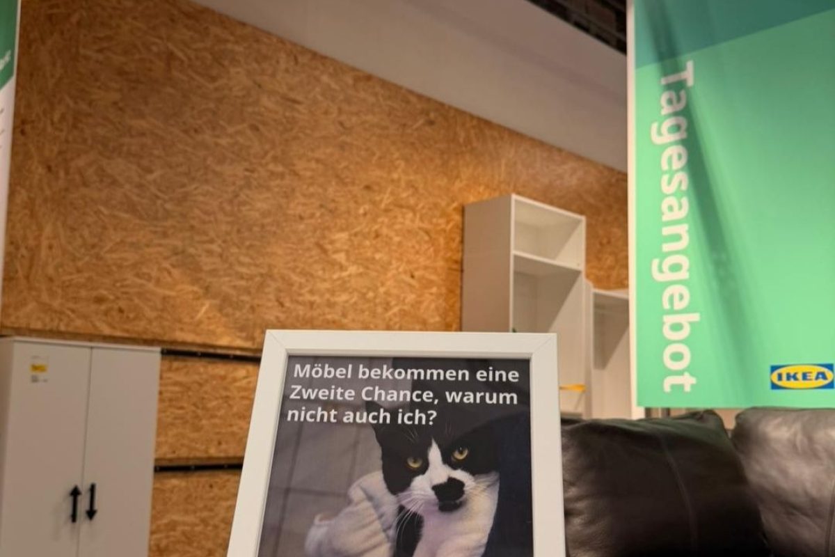 Lecki bei der Zweiten Chance