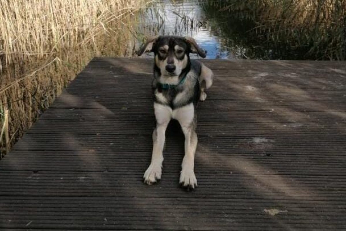 74f3e37f-32f2-49e3-a135-6eaf9ca00079