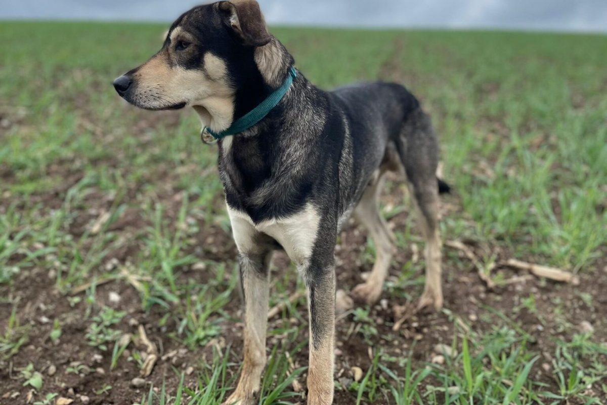 7de88160-4391-497a-8054-f84a20403a99