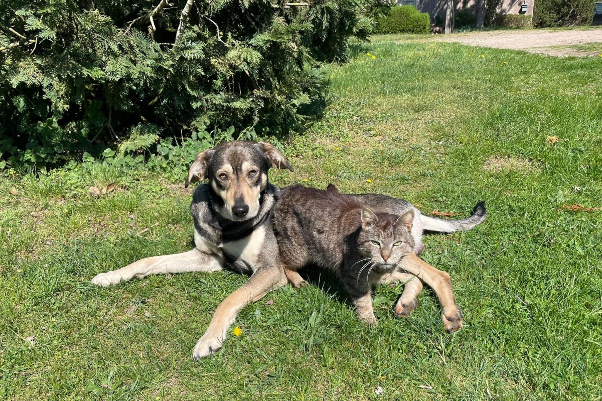 914b21f1-ef54-4b88-8769-18e8462379fa