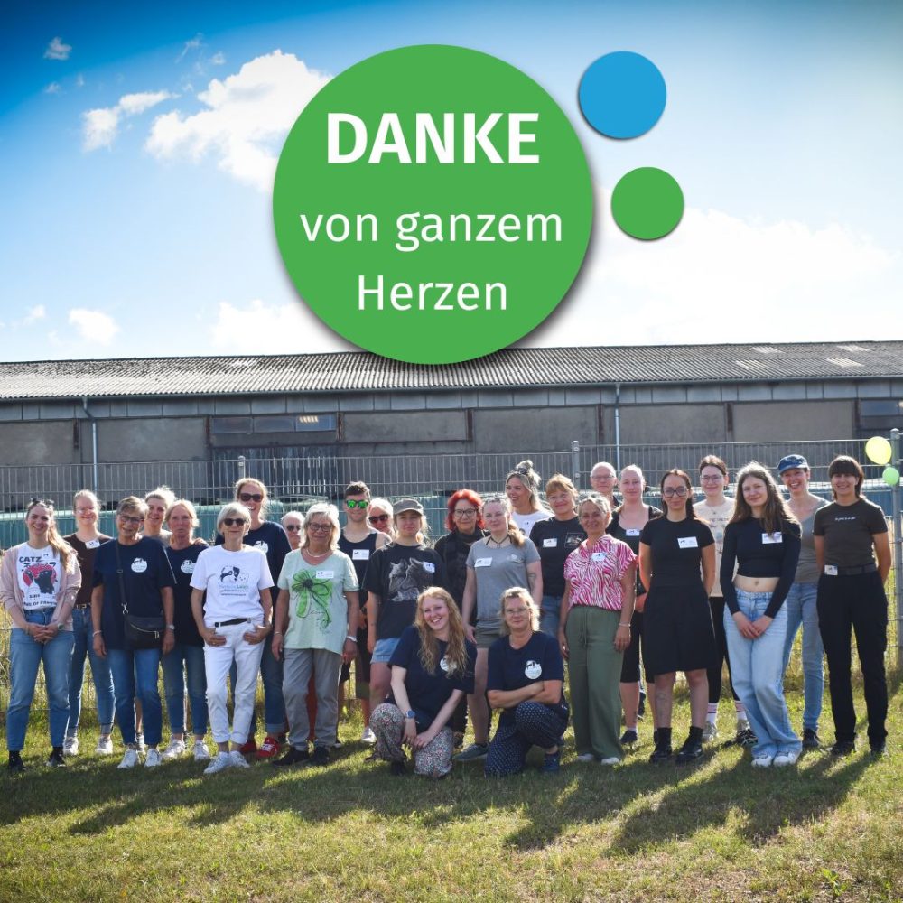 DankeWebseite