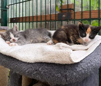 Eddy und Elise