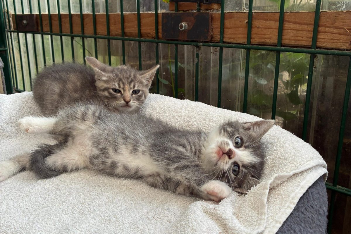 Emmi und Eddy