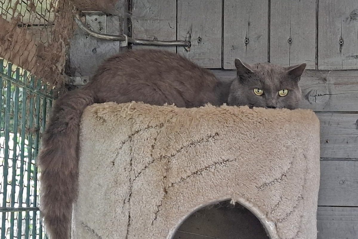 WhatsApp Bild 2025-08-11 um 15.02.27_102f142f