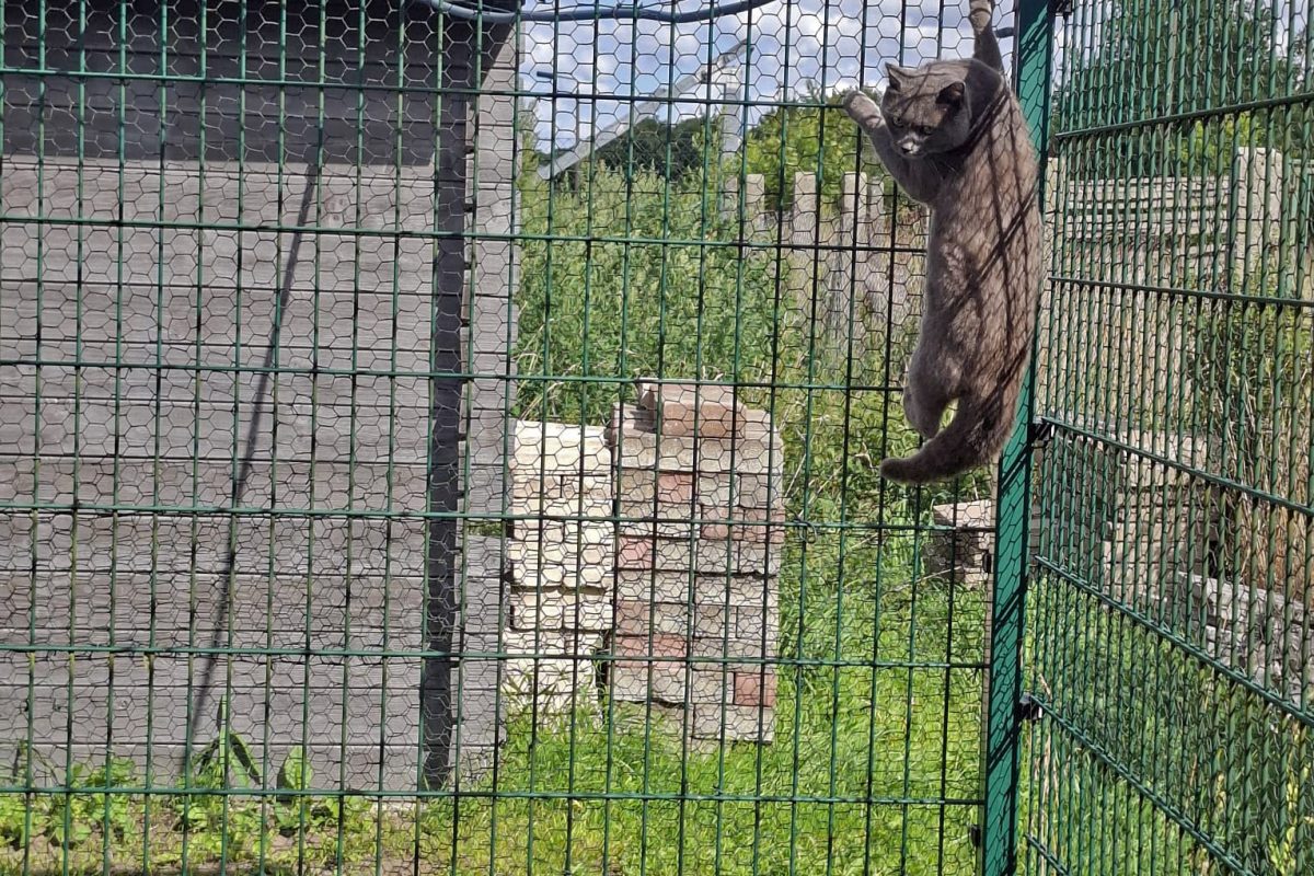 WhatsApp Bild 2025-08-11 um 15.02.27_fcafe2b6