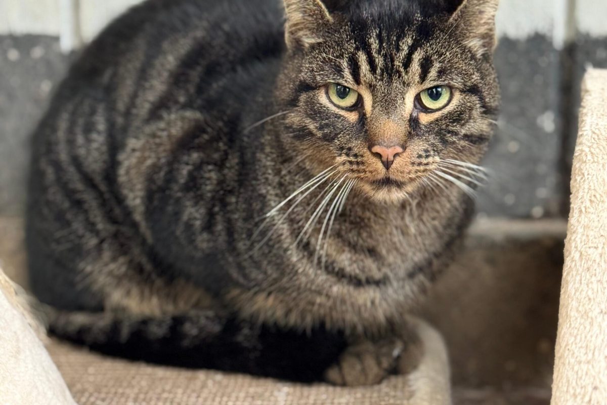 WhatsApp Bild 2025-10-12 um 15.37.54_266e0baf