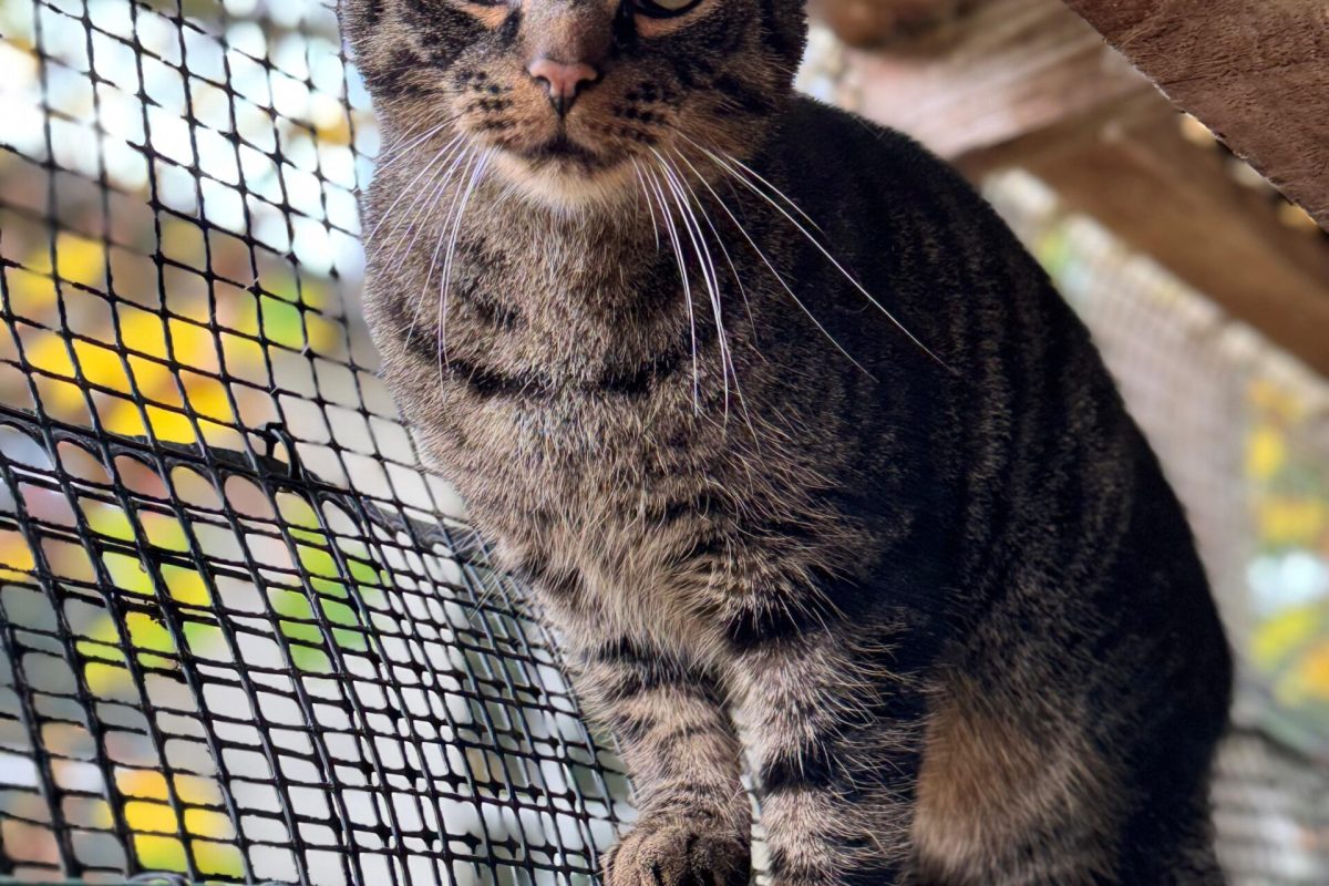 WhatsApp Bild 2025-10-12 um 15.37.54_30e27b51