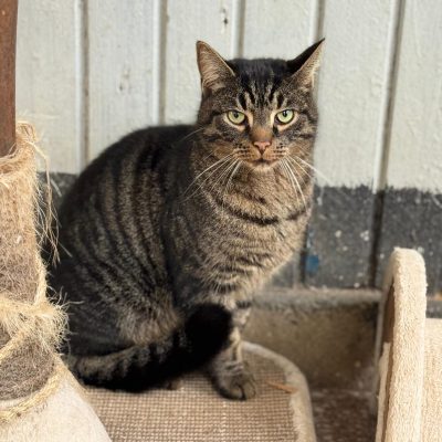 WhatsApp Bild 2025-10-12 um 15.37.54_f87fd7da