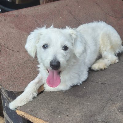 WhatsApp Bild 2025-11-04 um 11.09.00_1226813b