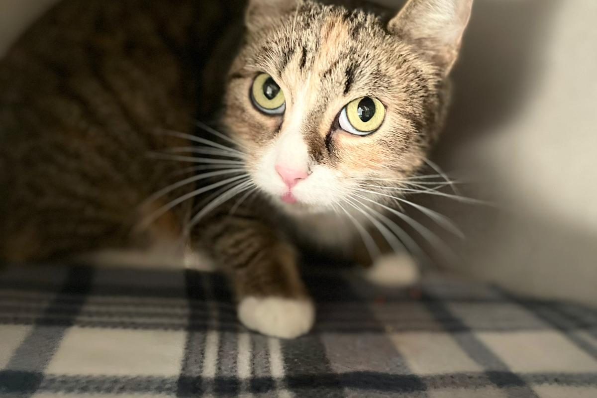 WhatsApp Bild 2025-11-07 um 13.37.09_362f400e