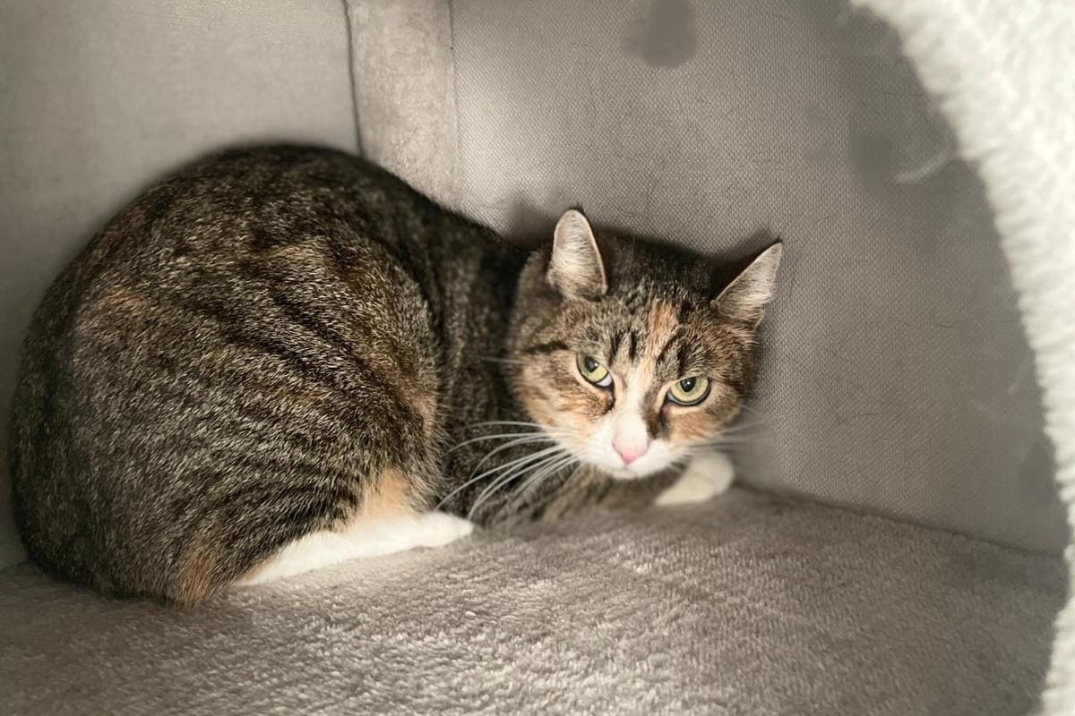 WhatsApp Bild 2025-11-07 um 13.37.10_c7a6f508