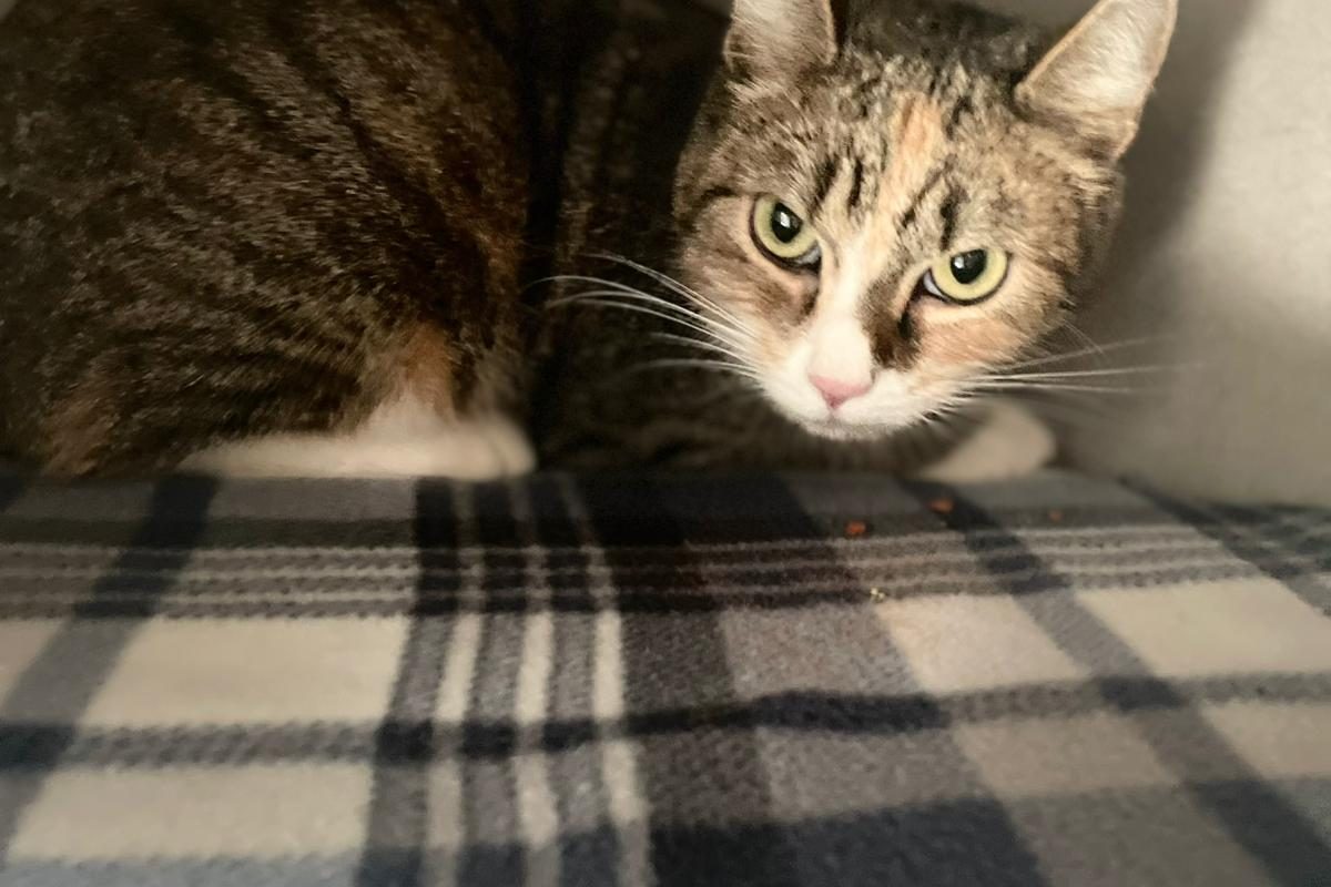 WhatsApp Bild 2025-11-07 um 13.37.10_d1d8910e