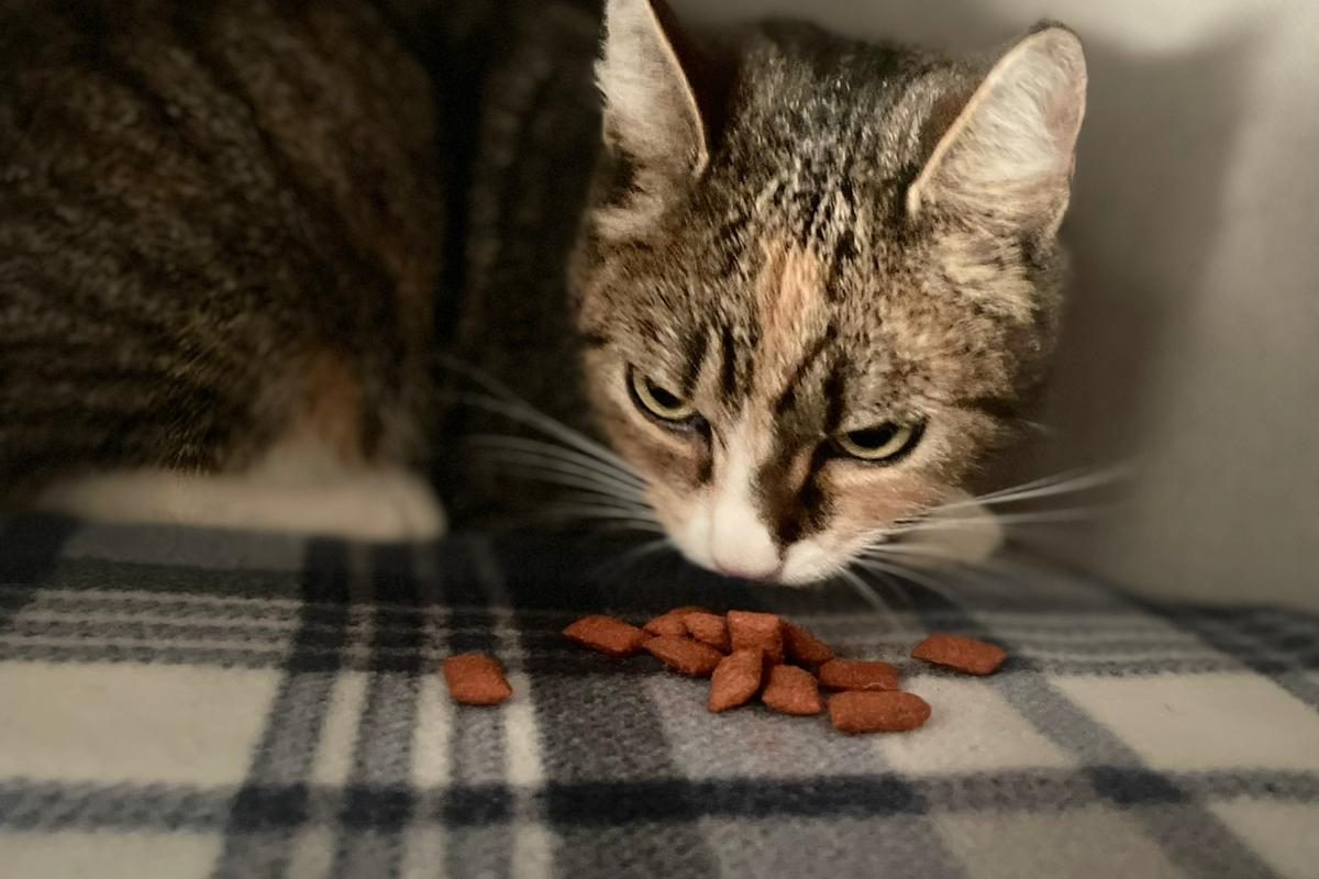 WhatsApp Bild 2025-11-07 um 13.37.20_e9b39d51