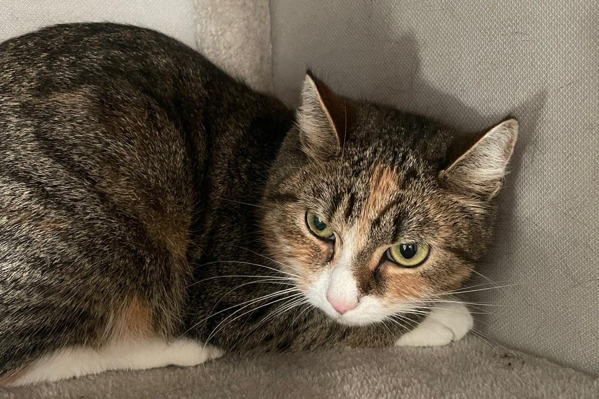 WhatsApp Bild 2025-11-10 um 15.08.06_641a5ce6