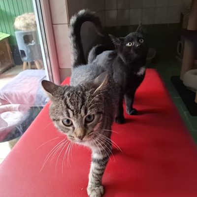 WhatsApp Bild 2025-11-12 um 12.03.34_ff9f700d