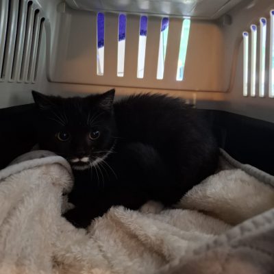 WhatsApp Image 2026-02-18 at 12.25.39