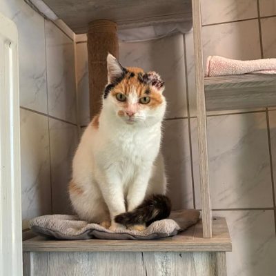 WhatsApp Image 2026-03-03 at 12.07.51