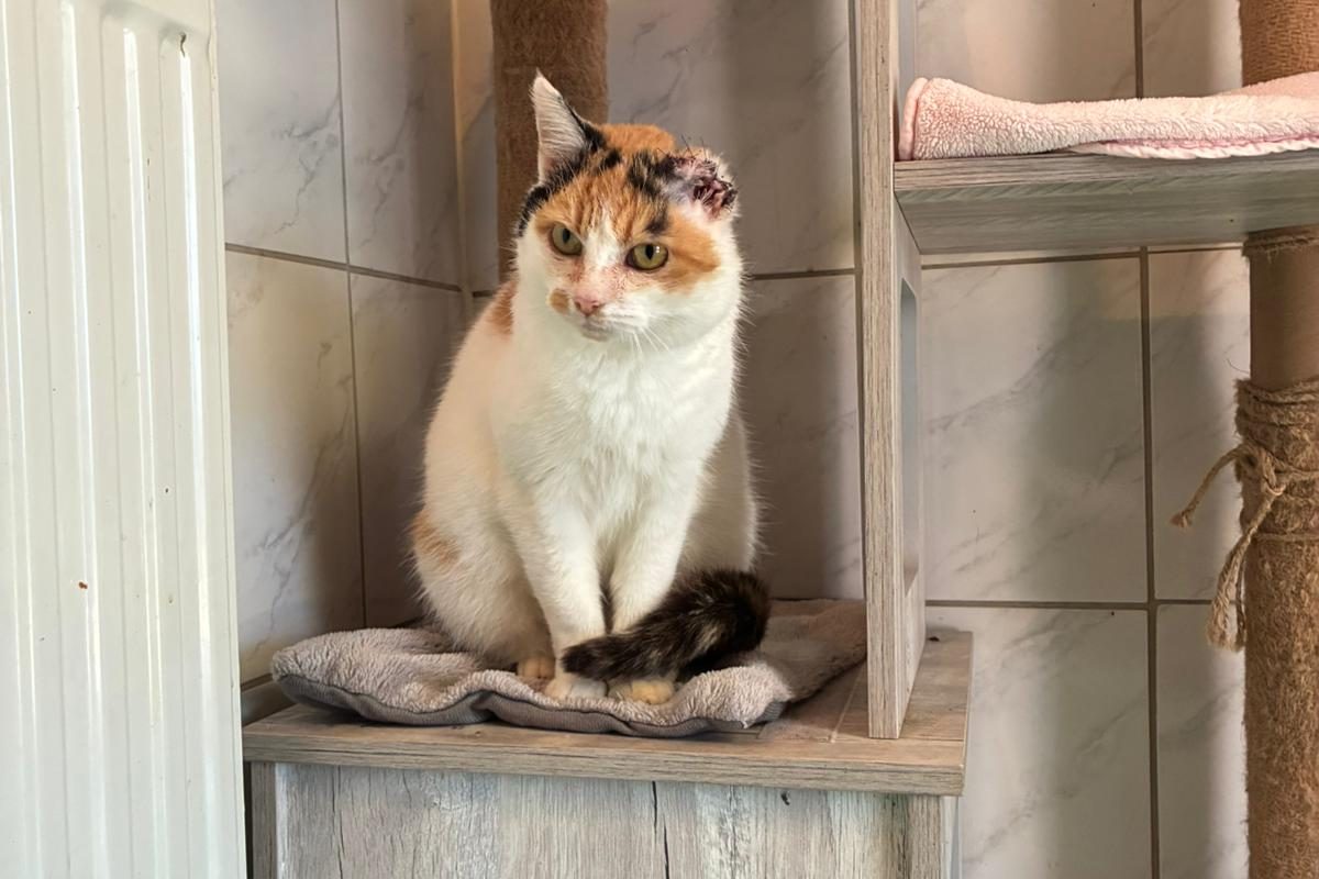 WhatsApp Image 2026-03-03 at 12.07.52