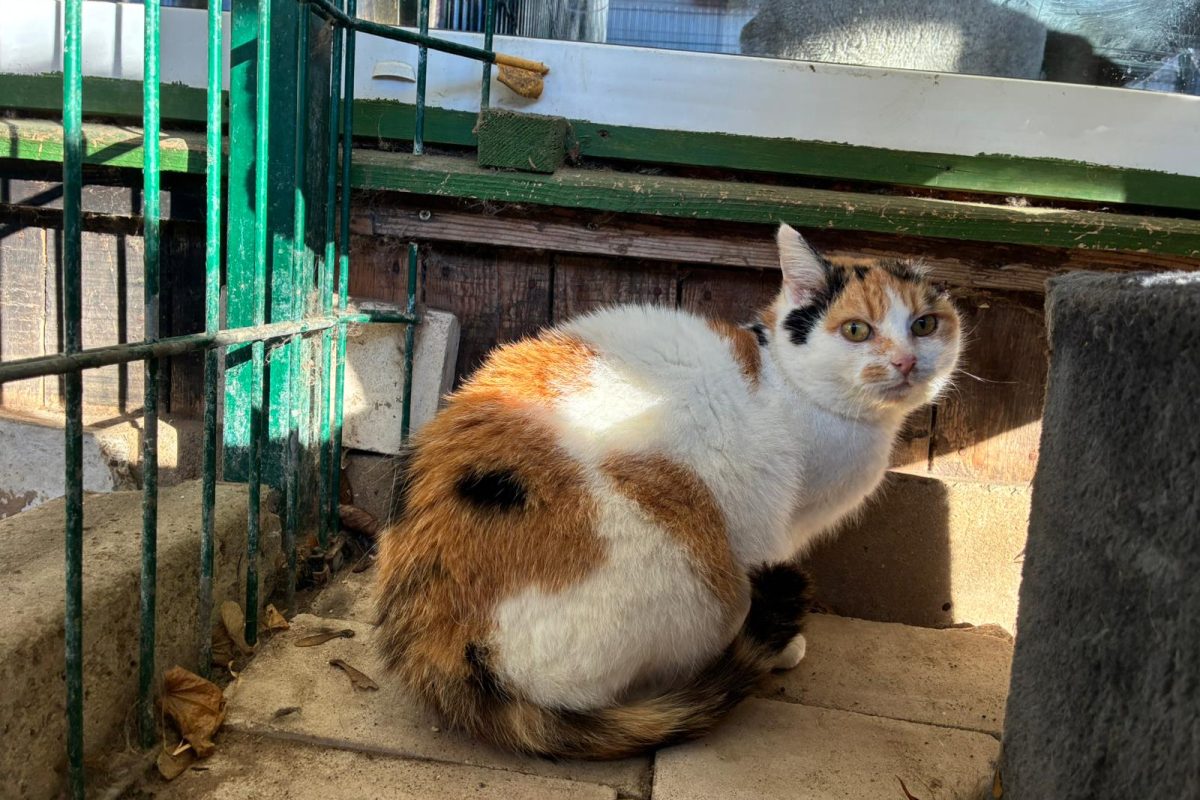 WhatsApp Image 2026-03-03 at 12.07.53