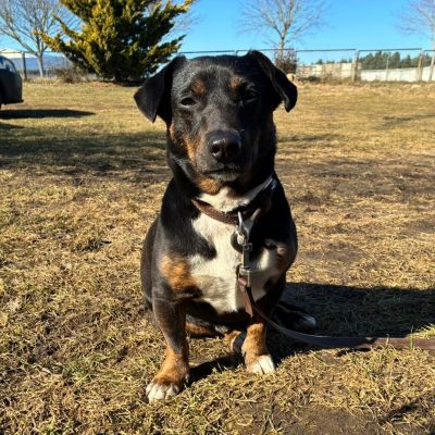 WhatsApp Image 2026-03-06 at 12.08.29