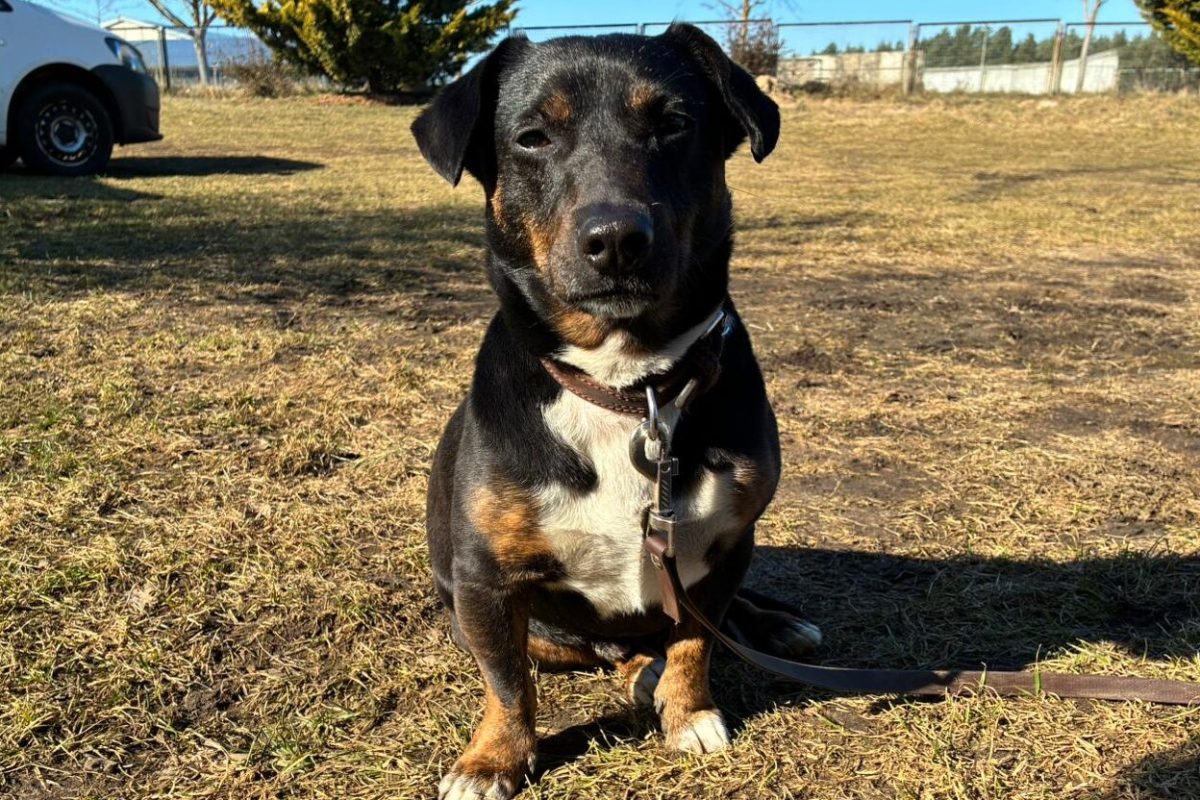 WhatsApp Image 2026-03-06 at 12.08.29