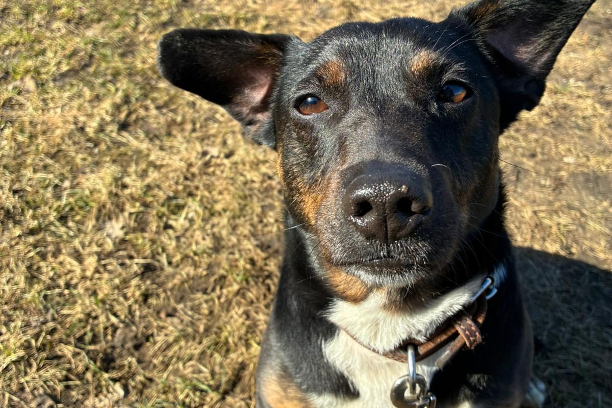 WhatsApp Image 2026-03-06 at 12.09.40