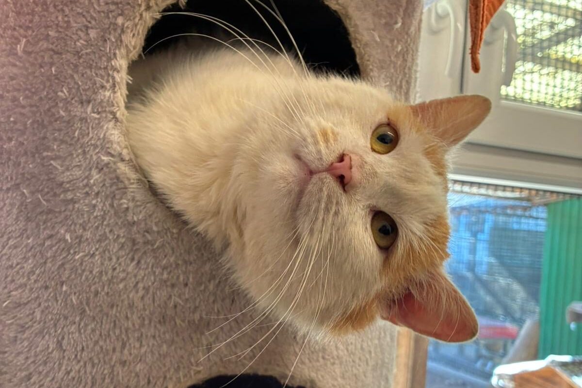 WhatsApp Image 2026-03-15 at 12.02.54