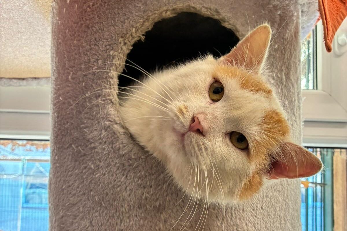 WhatsApp Image 2026-03-15df at 12.02.54