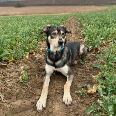 c9889b1a-9be1-4a91-9b3e-87f6ba0557cb