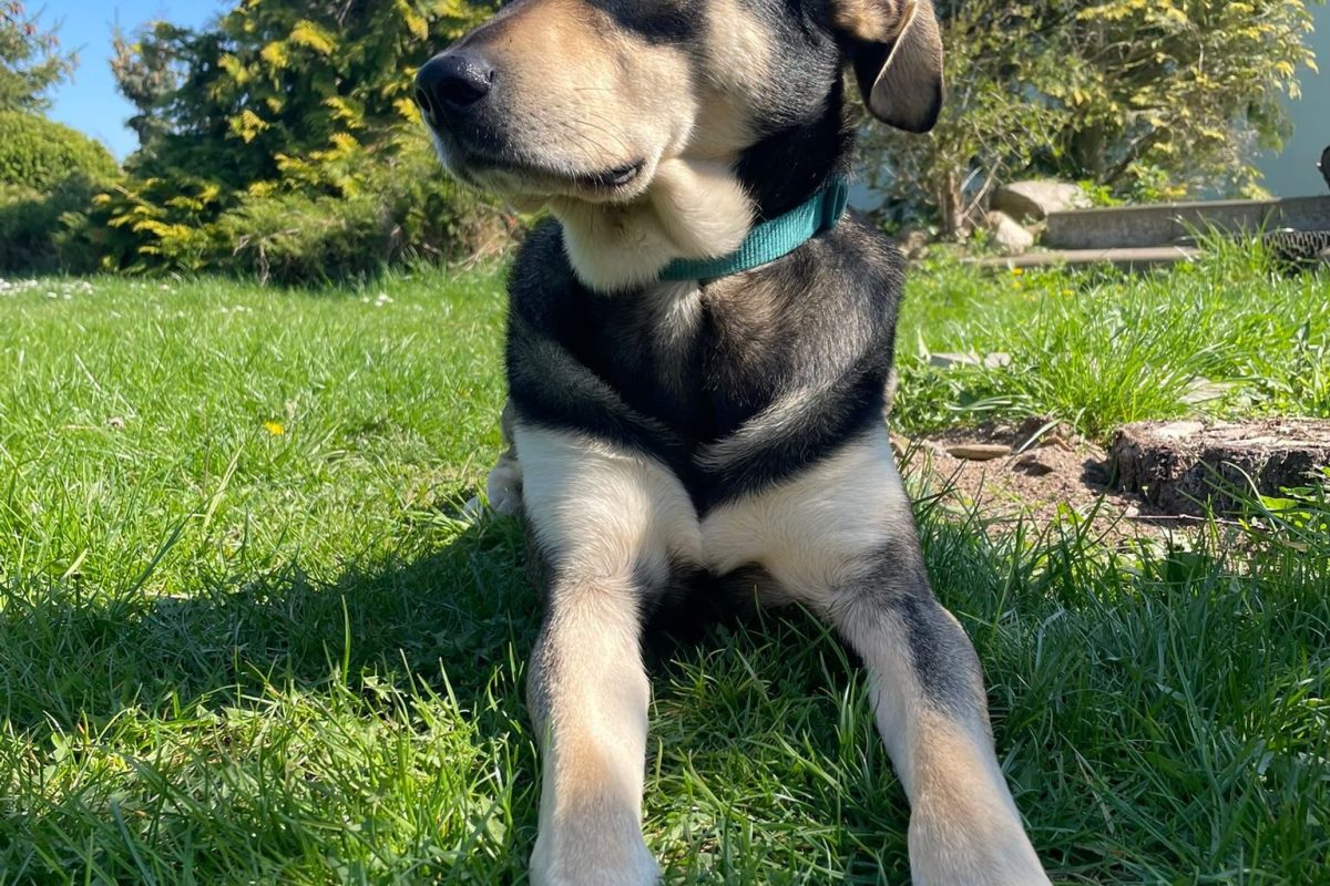 f5bade97-b7c8-46f3-8fa3-35f51a28b991